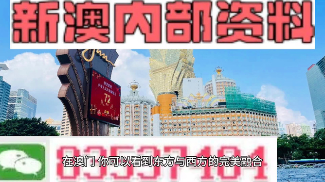 2024新澳六叔最精准资料,探索未来，揭秘新澳六叔最精准的预测资料