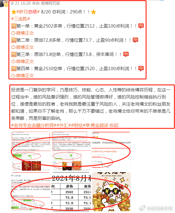 2023澳门管家婆资料正版大全,澳门管家婆资料正版大全——探索2023年的奥秘与机遇